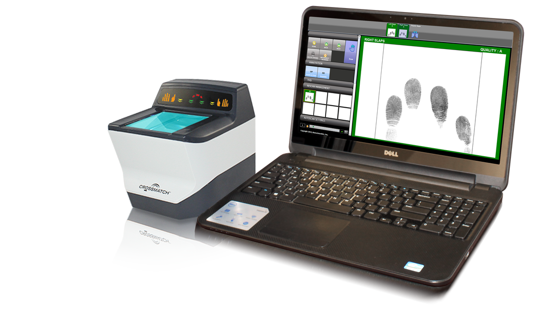 7 Days Livescan Services 7DAYS LIVESCAN