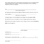 Affidavit Of Parental Consent For Travel With One Parent Form