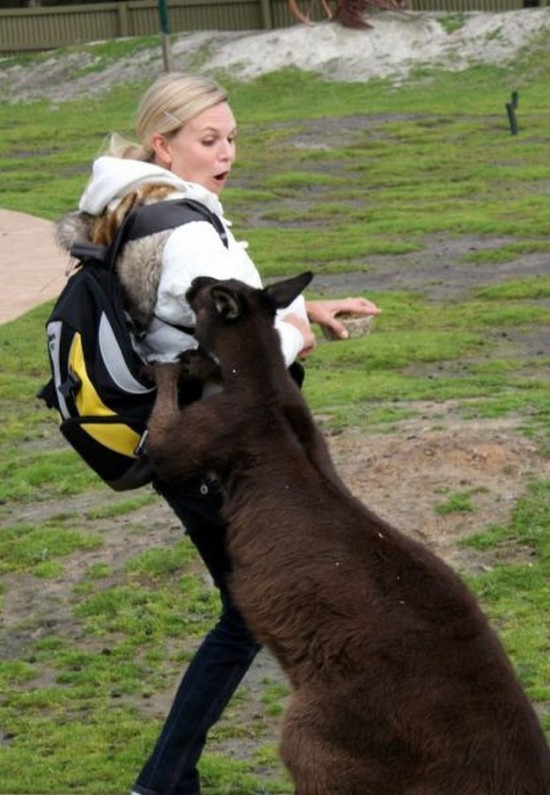 Animals Being Mean To Women 35 Photos FunCage