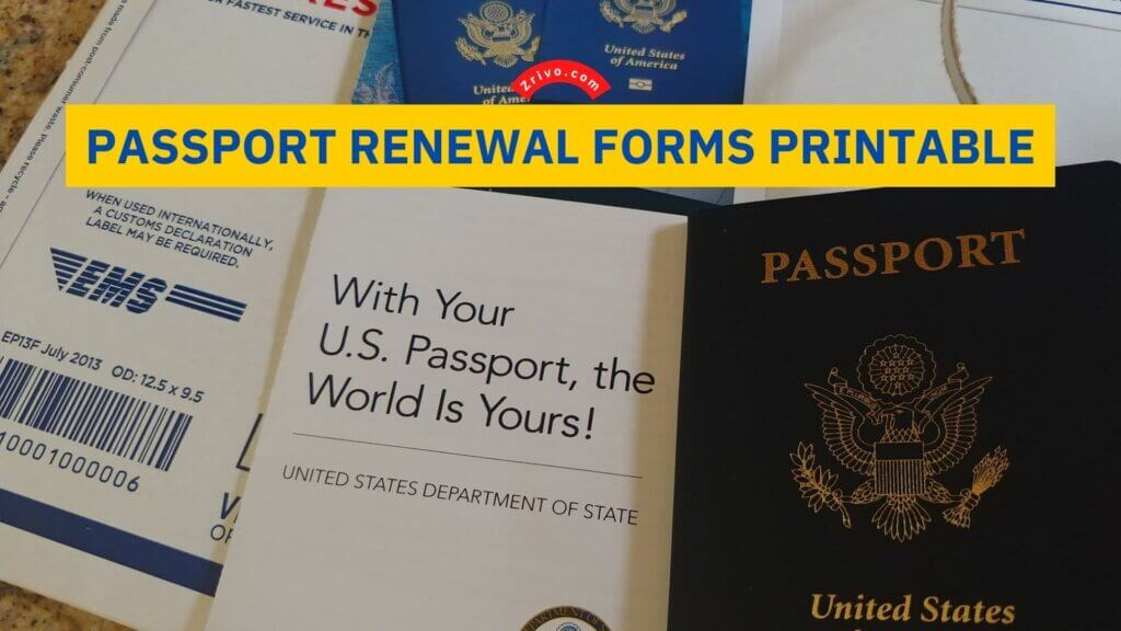 Form I9 Fillable 2023 USCIS Forms Zrivo