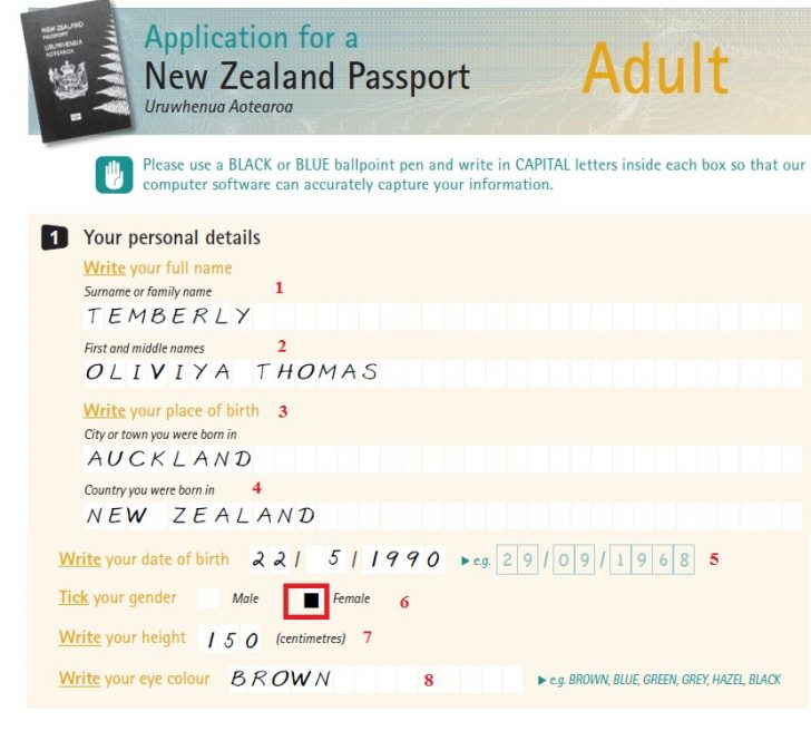 Passports Govt Nz Apply For Your Passport Online New Printable Form 2021