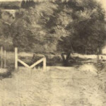 Printmakers Open Forum LLC Due To The COVID 19 Pandemic