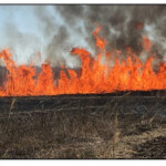 Wildland Fire Program Delaware Department Of Agriculture State Of