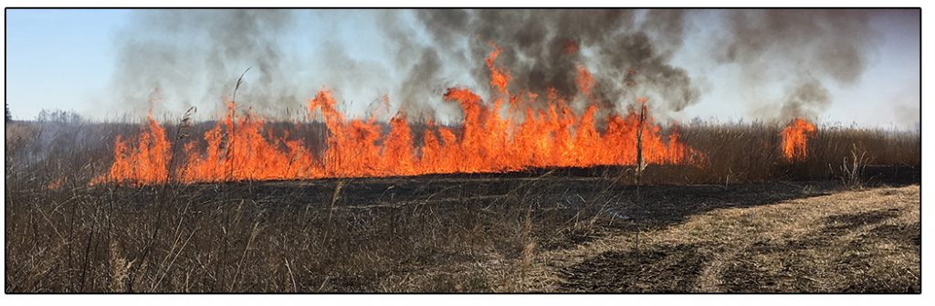 Wildland Fire Program Delaware Department Of Agriculture State Of 